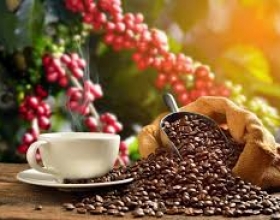 Authentic Aman Café from Vietnam